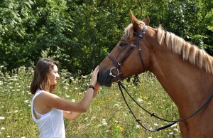 Passion des chevaux Clarance Gendron