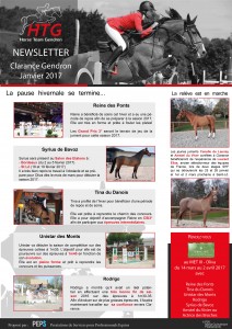 Newsletter Janvier 2017 - Clarance Gendron